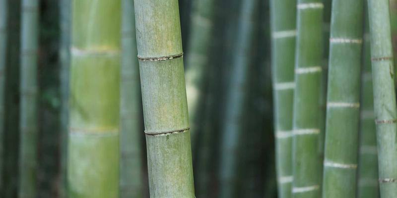 CHN QMP与IT解决方案：网络切片技术如何重塑5G专网的软件开发与行业应用