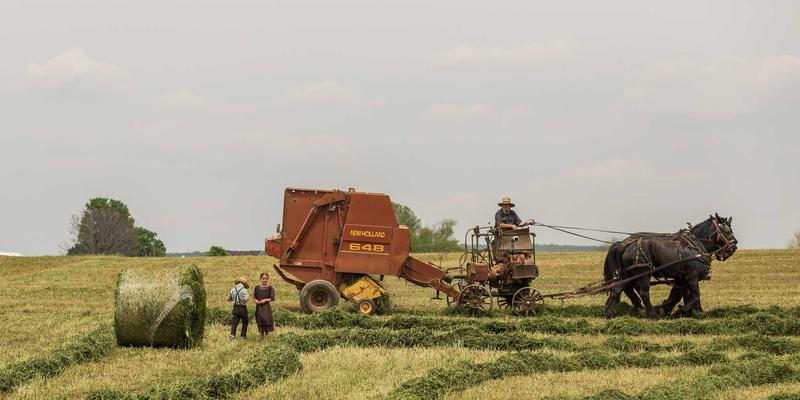 TSN技术如何重塑未来：软件开发与系统集成在工业自动化及车联网中的关键路径
