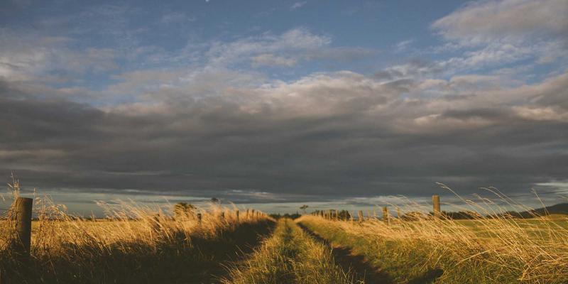 Wi-Fi 7标准深度解析：CHN QMP与网络技术如何重塑企业无线网络新纪元