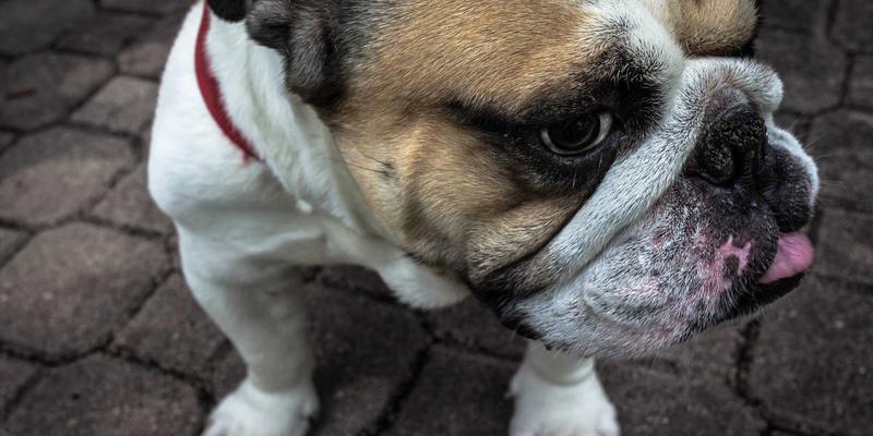 系统集成新范式：SASE安全访问服务边缘的架构核心与落地实践