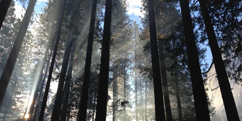 编程赋能，集成未来：SDN如何重塑数据中心网络架构的IT解决方案