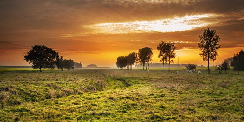 网络技术23：软件开发与网络安全融合的新纪元