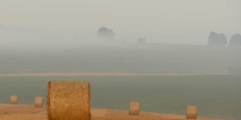 网络技术63：编程、IT解决方案与软件开发的融合创新