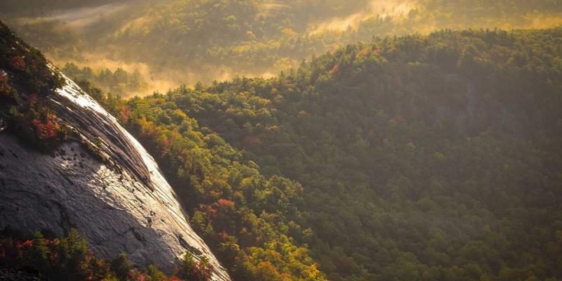 网络技术入门：从编程基础到软件开发实践