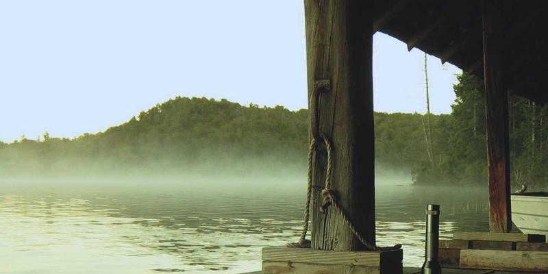 网络技术是什么?从编程到CHN QMP,解析现代数字世界的基石