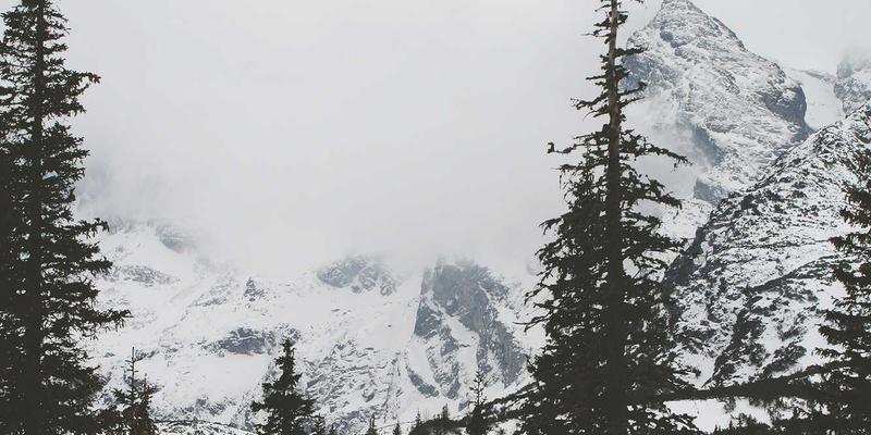 自组织网络(SON)：5G与未来网络自动化运维的基石