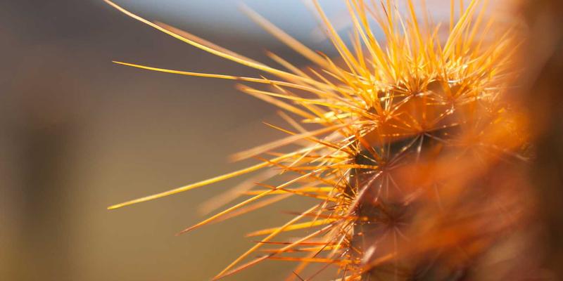 量子密钥分发(QKD)：下一代网络安全的革命性IT解决方案与CHN QMP实践